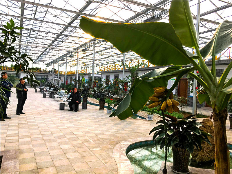 生態(tài)餐廳的建造也有多種樣式