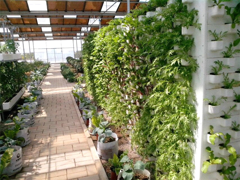 無(wú)土培養(yǎng)的長(zhǎng)處及優(yōu)勢(shì)