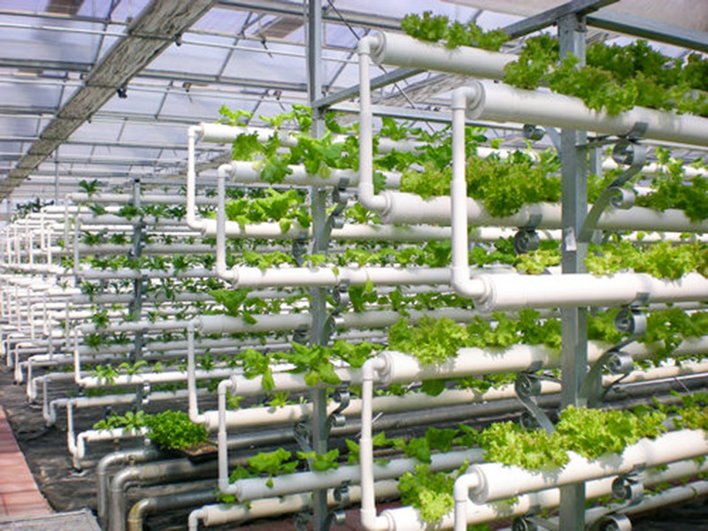 無(wú)土栽培育苗苗床溫室自動(dòng)化