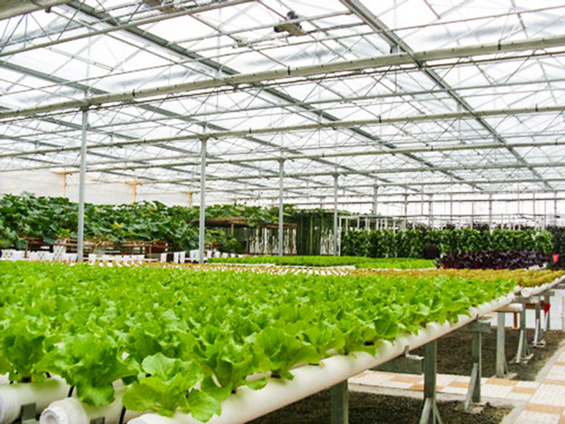 無(wú)土栽培育苗苗床溫室自動(dòng)化