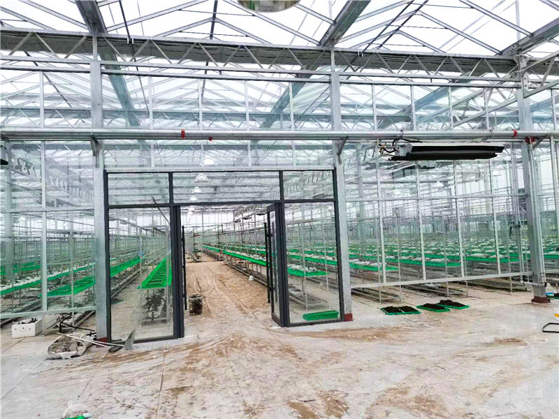 連棟溫室
