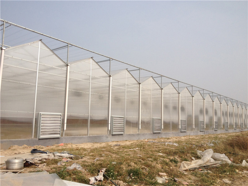 陽(yáng)光板(pc板)溫室