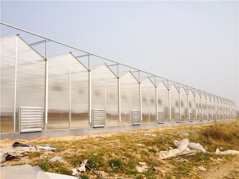 陽(yáng)光板(pc板)溫室