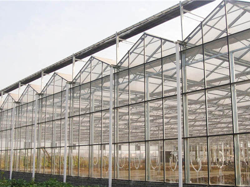 玻璃溫室