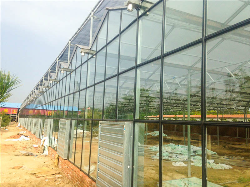 玻璃溫室